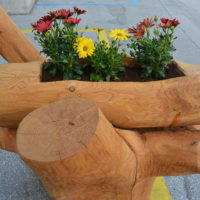 bac à fleurs (1)