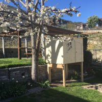 cabane pour enfants
