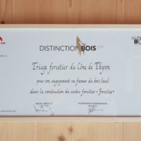 distinction bs